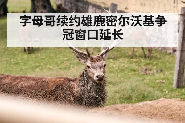 字母哥续约雄鹿密尔沃基争冠窗口延长